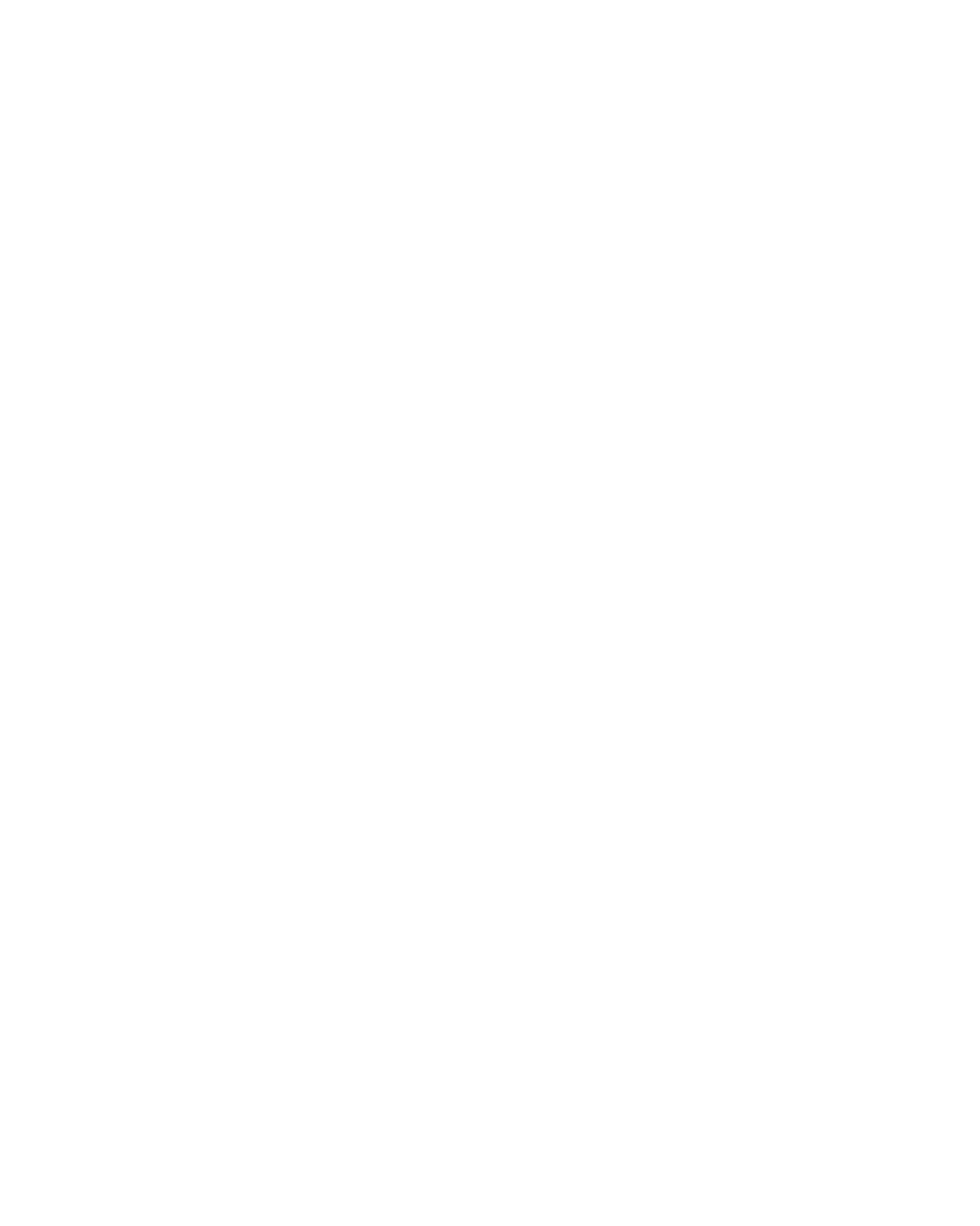 feature-item-1